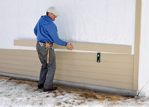 Best Custom Trim and Detailing for Siding  in Crystal Falls, MI